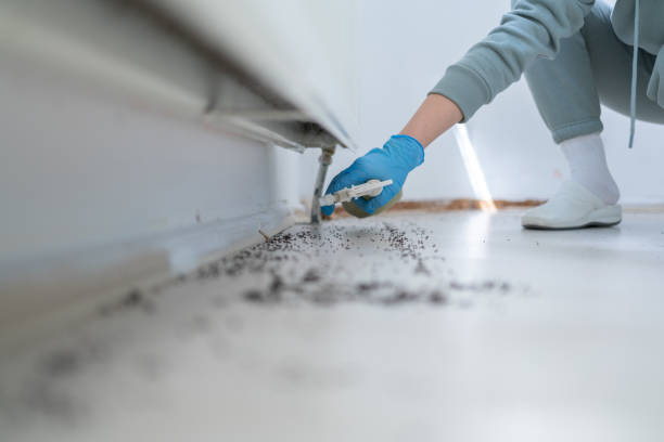Pest Control Cost in South Hutchinson, KS
